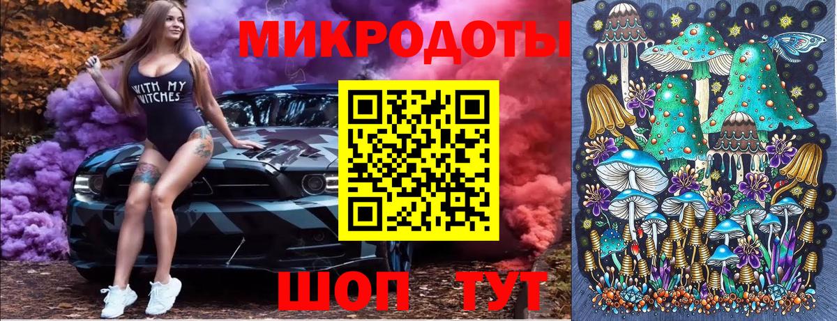 Псилоцибиновые грибы мицелий Котлас